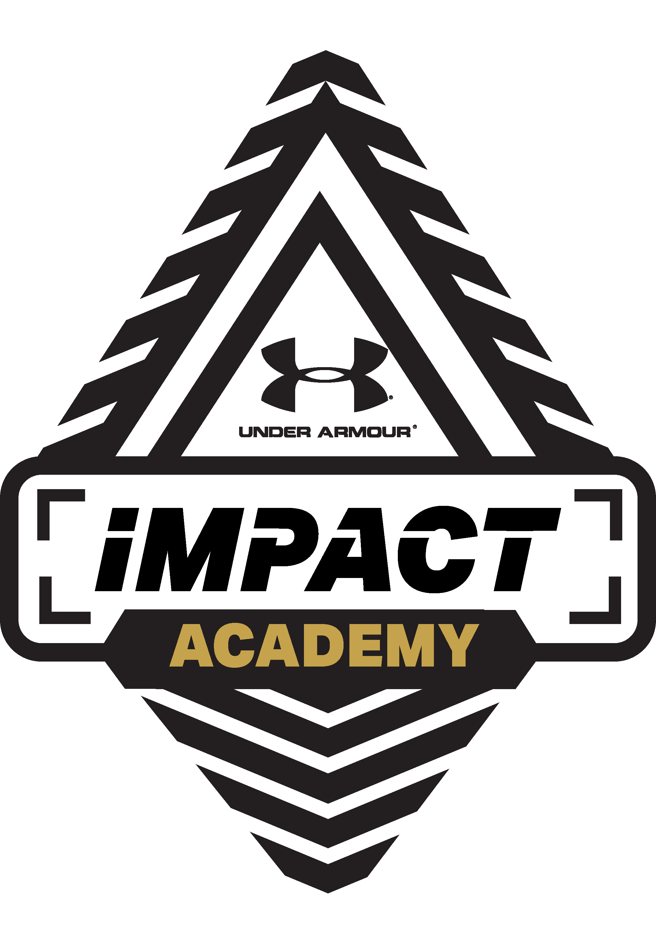 Impact Academy. Импакт академия